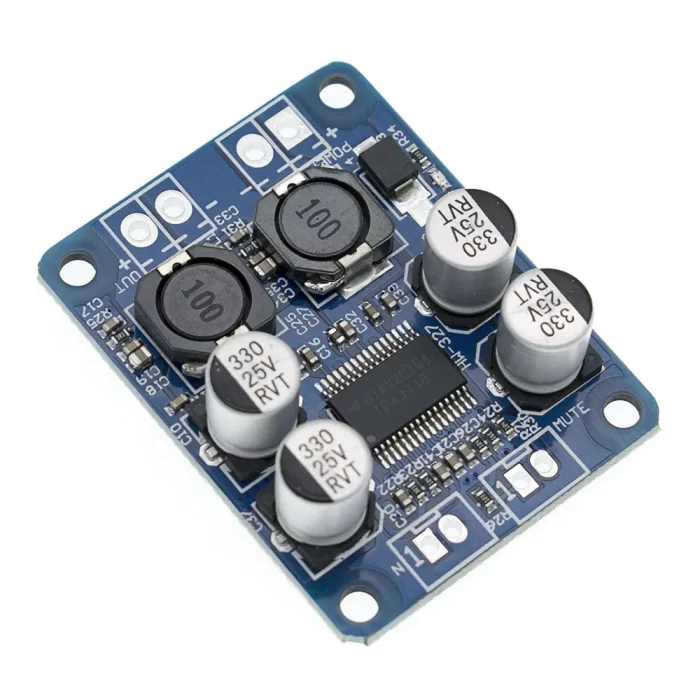 TPA3118 12-24V HI-FI Amplifier Board Circuit Modules