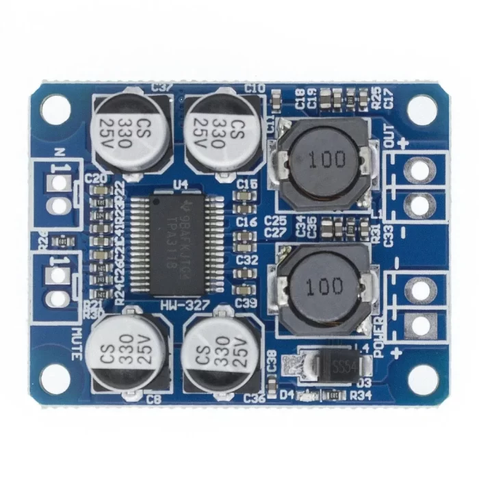 TPA3118 12-24V HI-FI Amplifier Board Circuit Modules